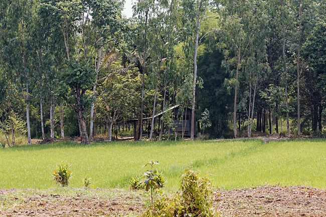 Famille et amis-AVR16-020